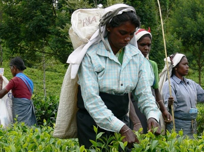 වතු කම්කරුවන් වෙනුවෙන් දුන් අයවැය පොරොන්දුවක් ඉටුවෙයි